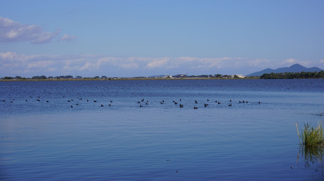 Beautiful view of Lake Biwa in autumn