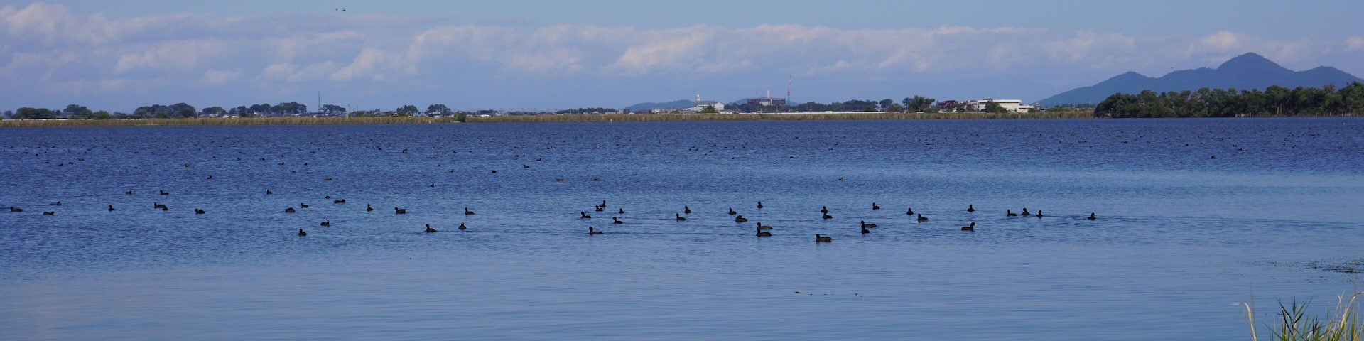 Beautiful view of Lake Biwa in autumn