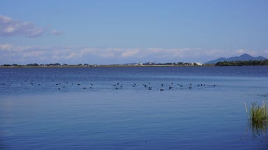 Beautiful view of Lake Biwa in autumn