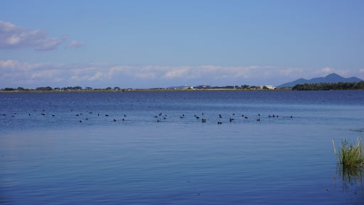Beautiful view of Lake Biwa in autumn