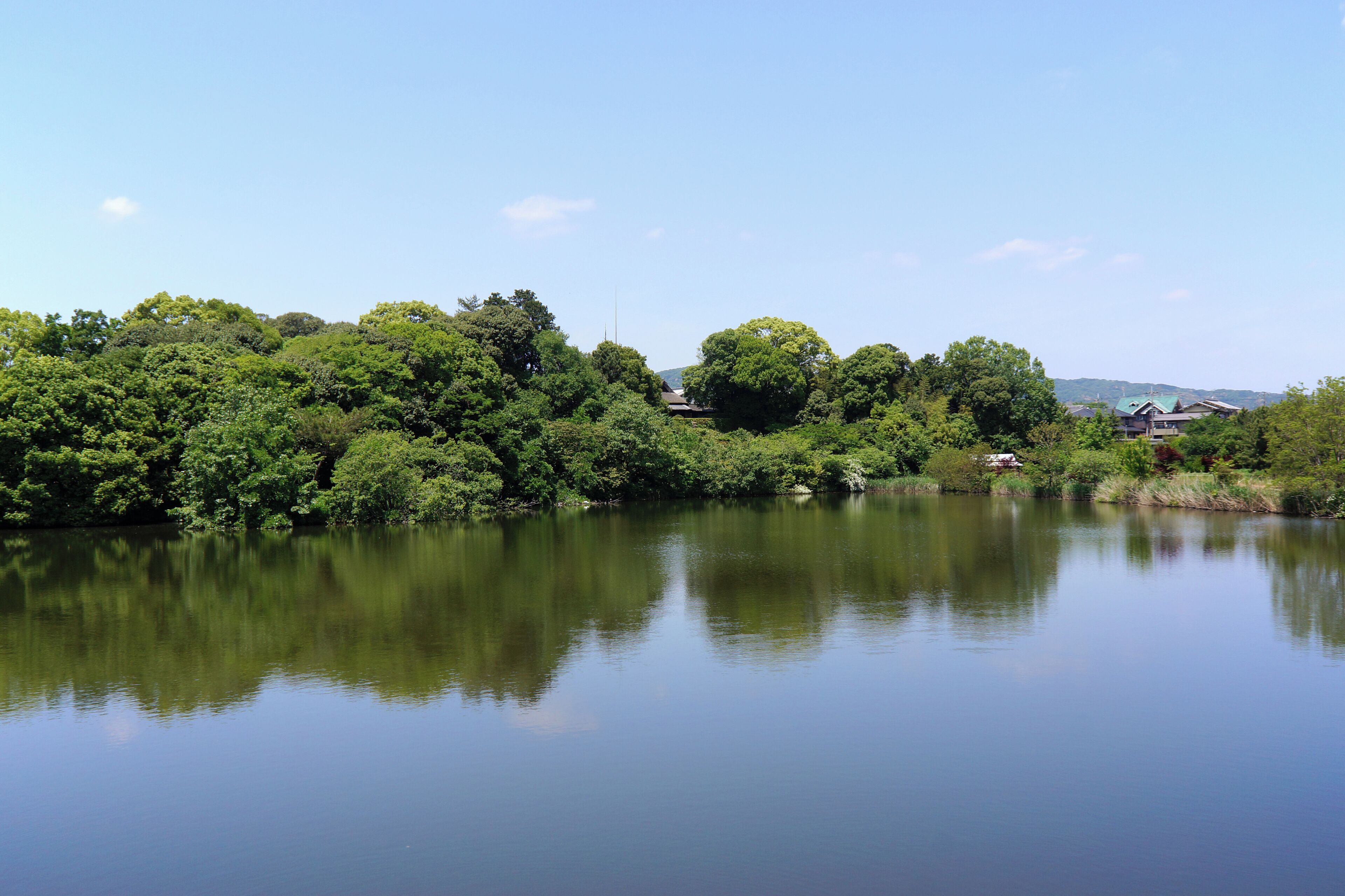 A calm lake with dense green trees and a few houses in the background.