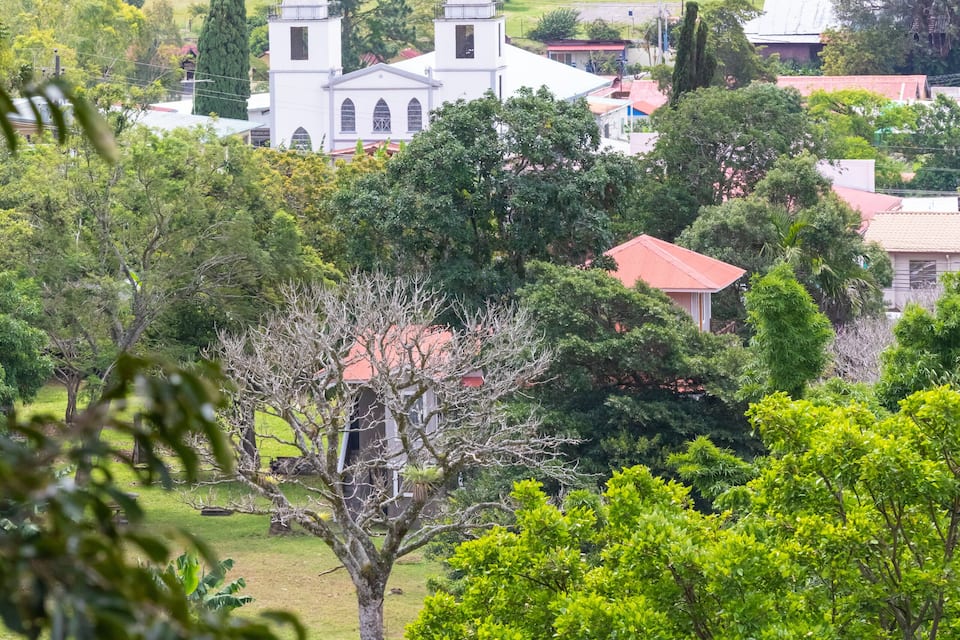Una chiesa bianca con due torri, circondata da una rigogliosa vegetazione e alberi.