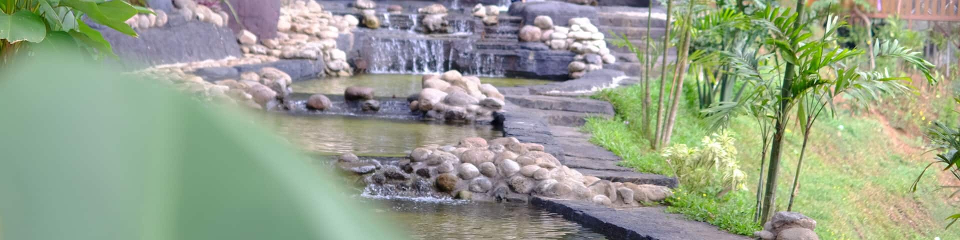 small waterfall in the middle of a pine forest collecting cool and beautiful water, trawas mojokerto 22 november 2024
