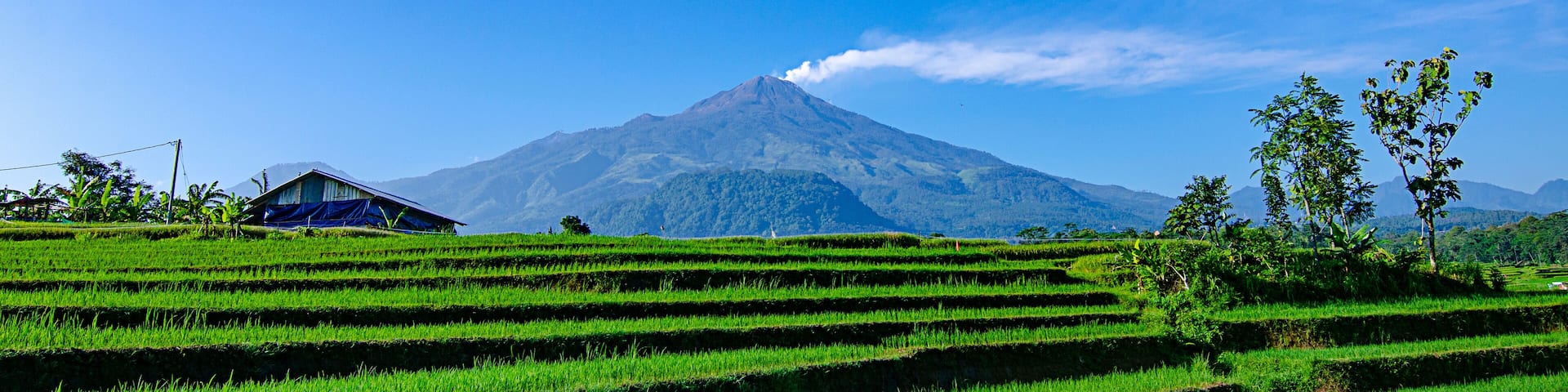 Eruption of Mount Arjuna/Arjuno-Welirang with rice paddies epic view