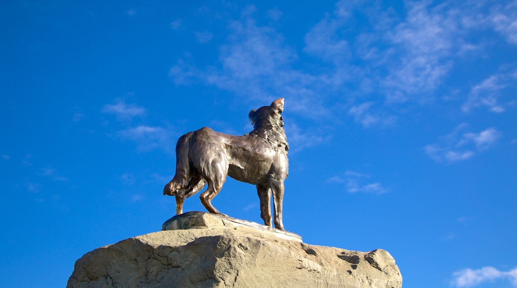 Sheepdog Statue showing outdoor art and a statue or sculpture