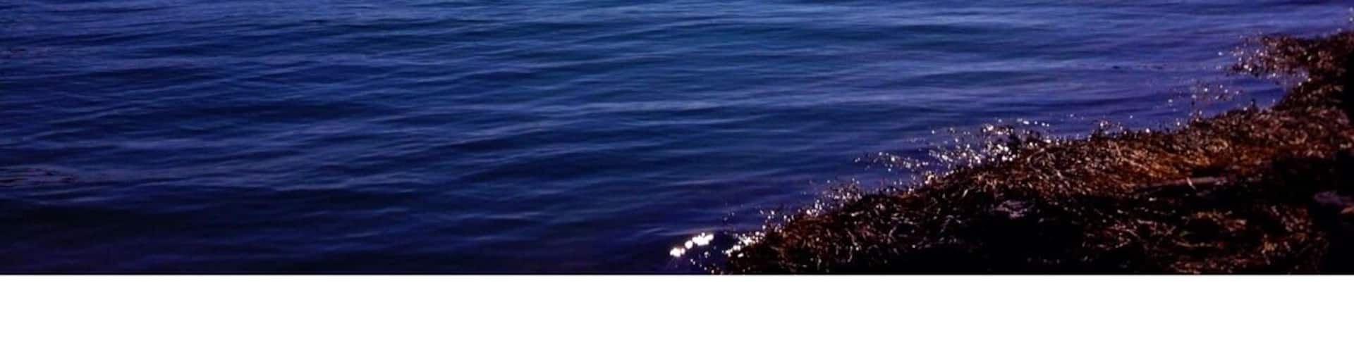 Hardangerfjorden with Gygrastolen and Folgefonna in the background.