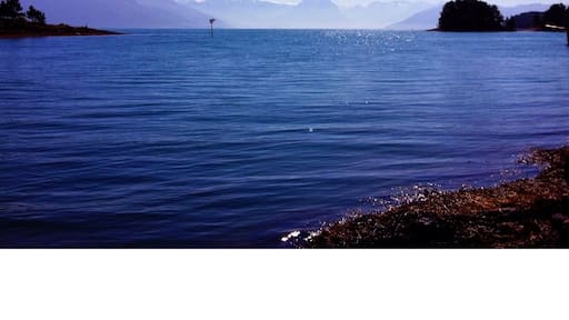 Hardangerfjorden with Gygrastolen and Folgefonna in the background.