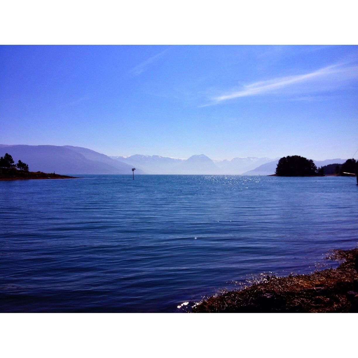 A calm lake with mountains in the background and a small island with trees.