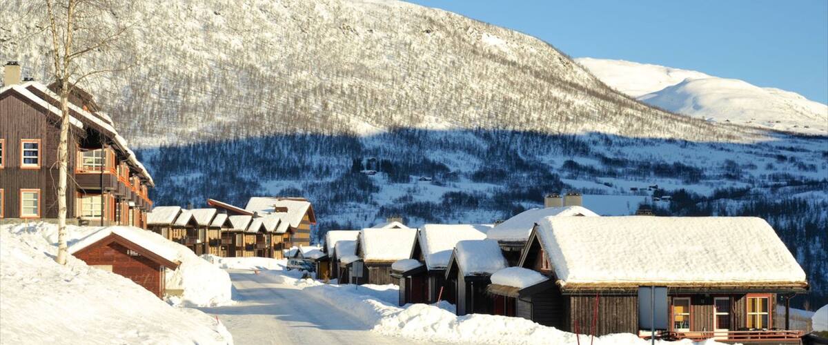 A snow-covered village with wooden houses and a mountain in the background.