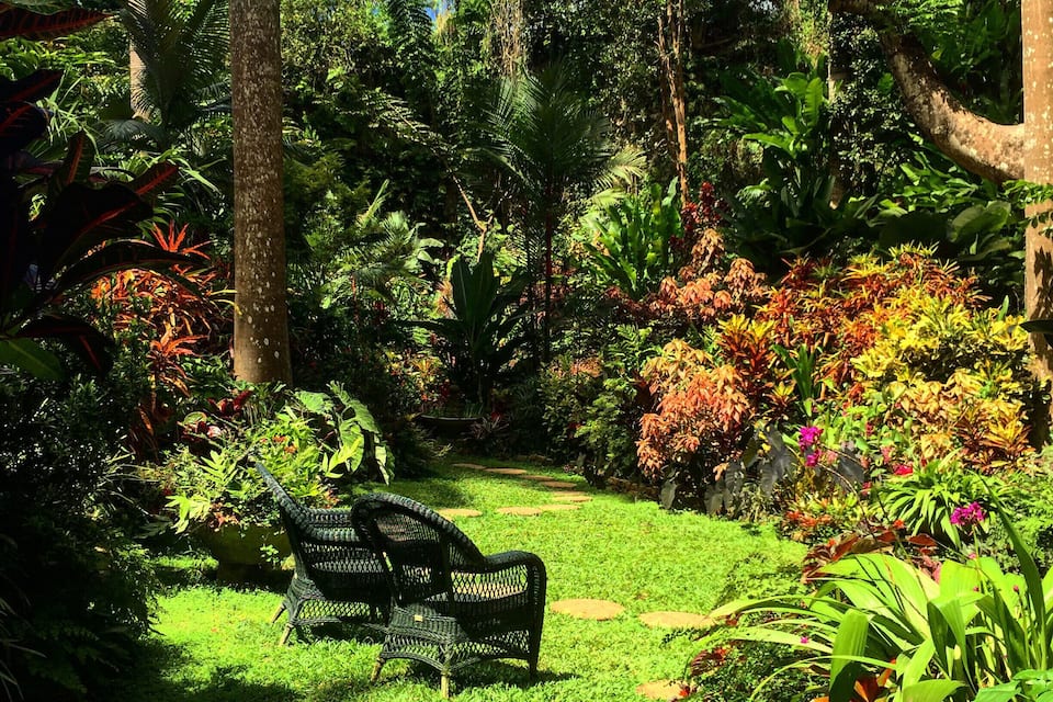 A lush garden with a bench, diverse plants, and a clear sky.