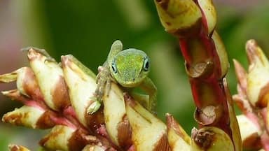 A one special moment !