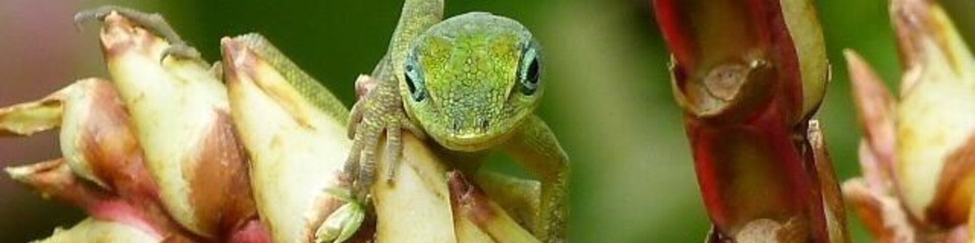 A one special moment !