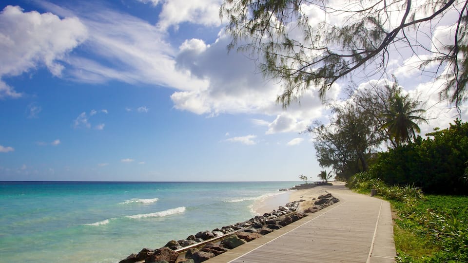 A wooden boardwalk along a beach with clear turquoise water, a rocky shoreline, and palm trees under a partly cloudy sky.