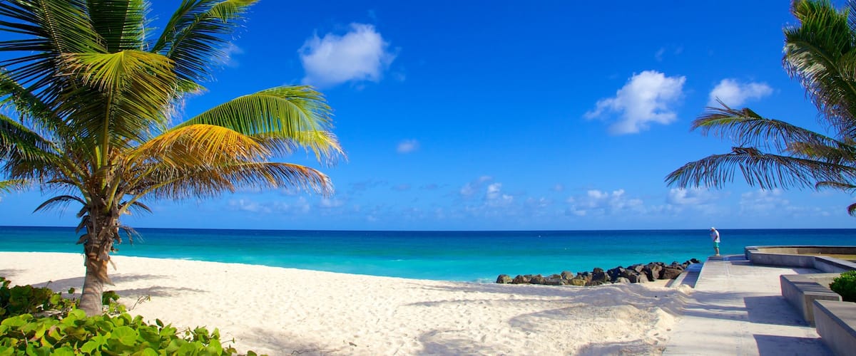 Rockley Beach showing a beach, general coastal views and tropical scenes