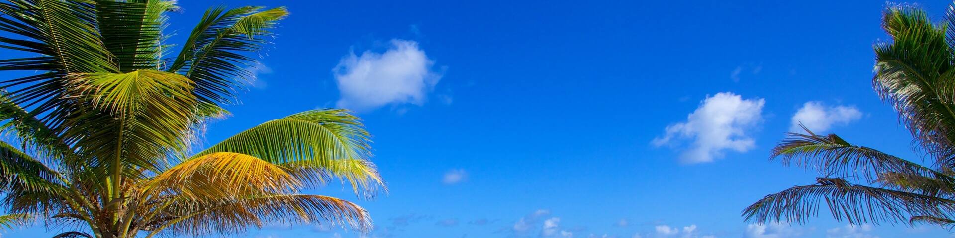 Rockley Beach showing a beach, general coastal views and tropical scenes