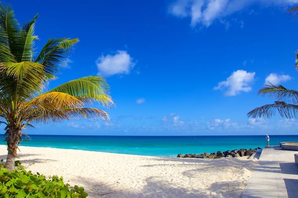 Rockley Beach showing a beach, general coastal views and tropical scenes