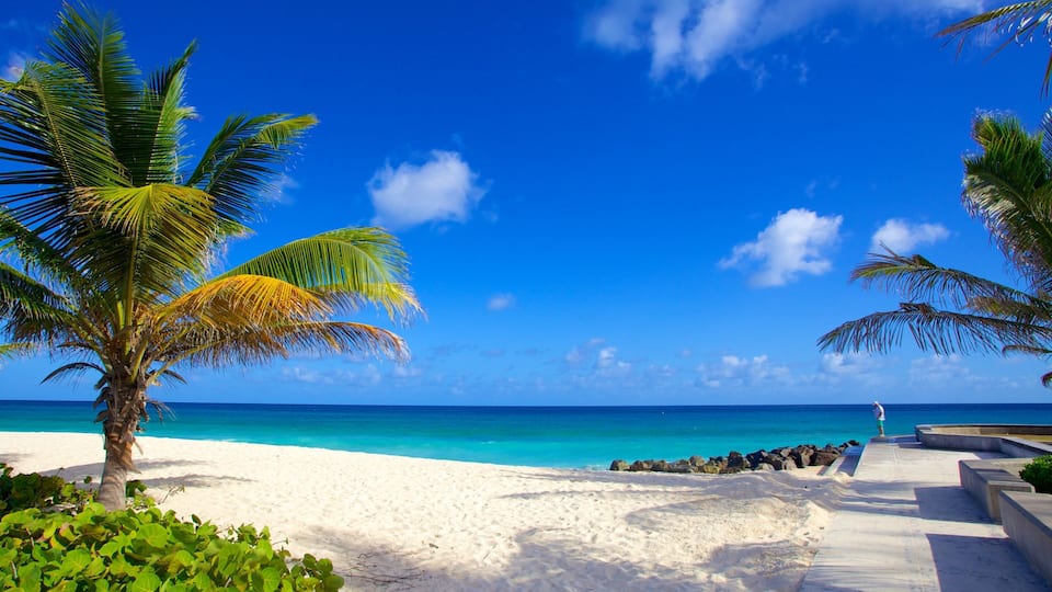 A beach with white sand, clear turquoise water, and palm trees.