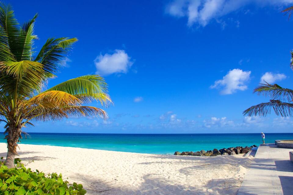 A beach with white sand, clear turquoise water, and palm trees.