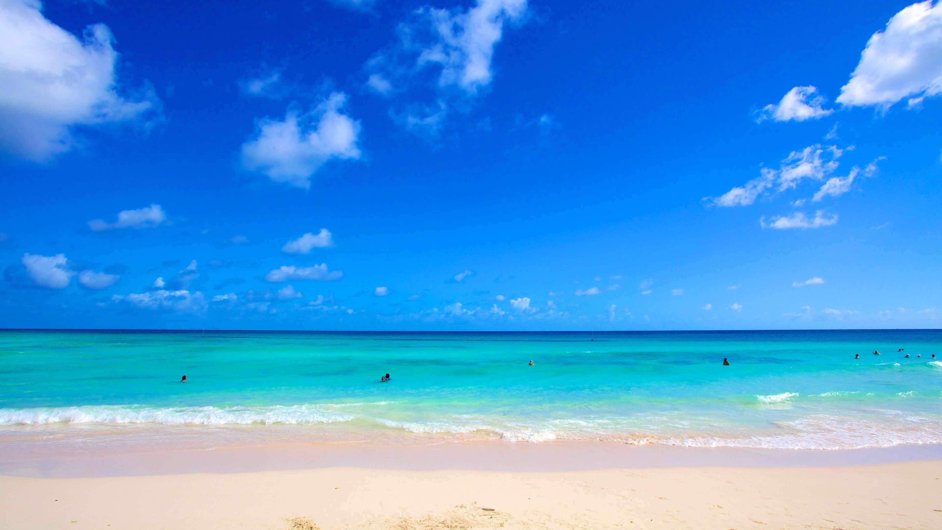 Rockley Beach showing general coastal views, tropical scenes and a sandy beach