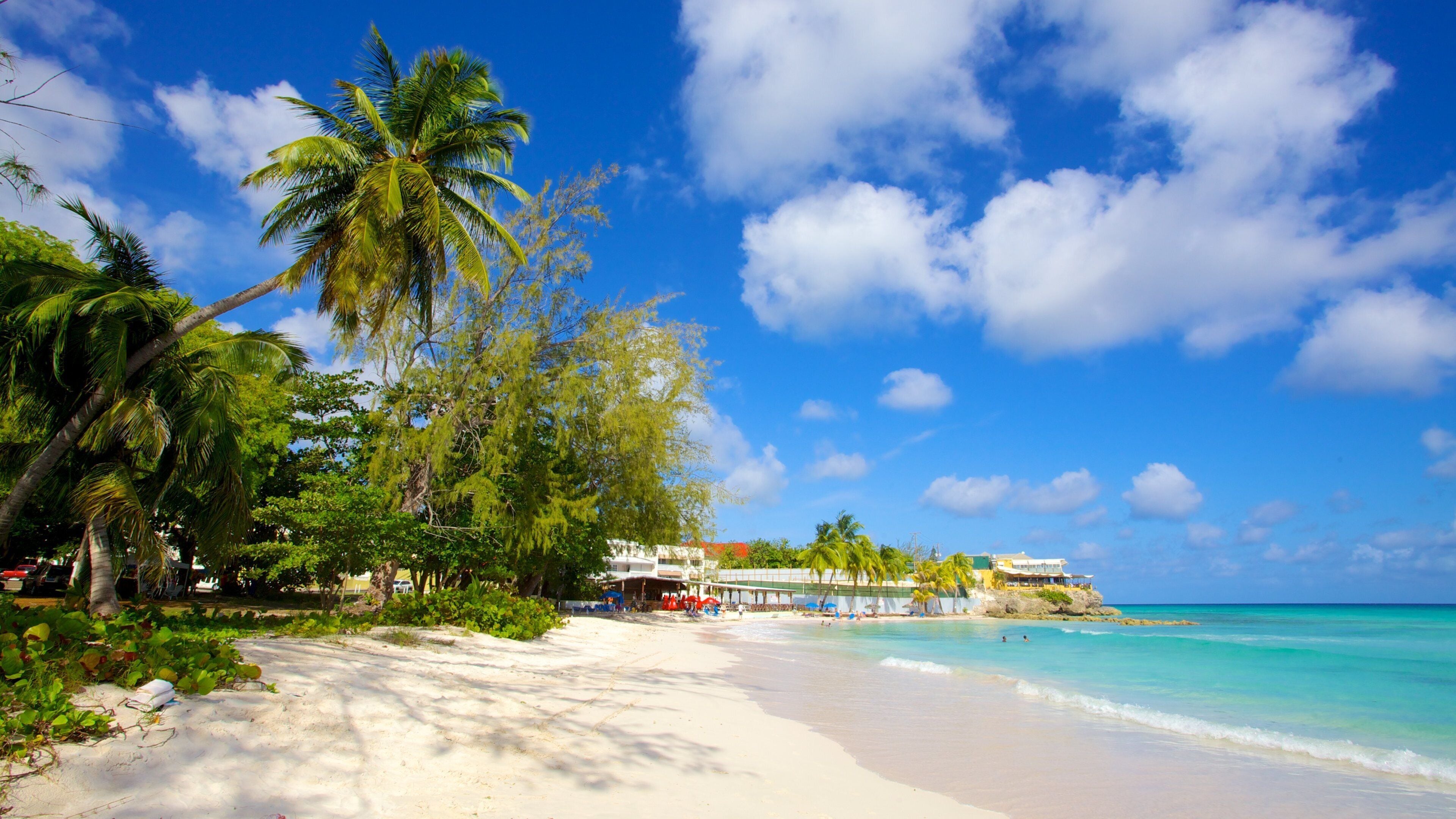 Rockley Beach featuring general coastal views, a beach and tropical scenes