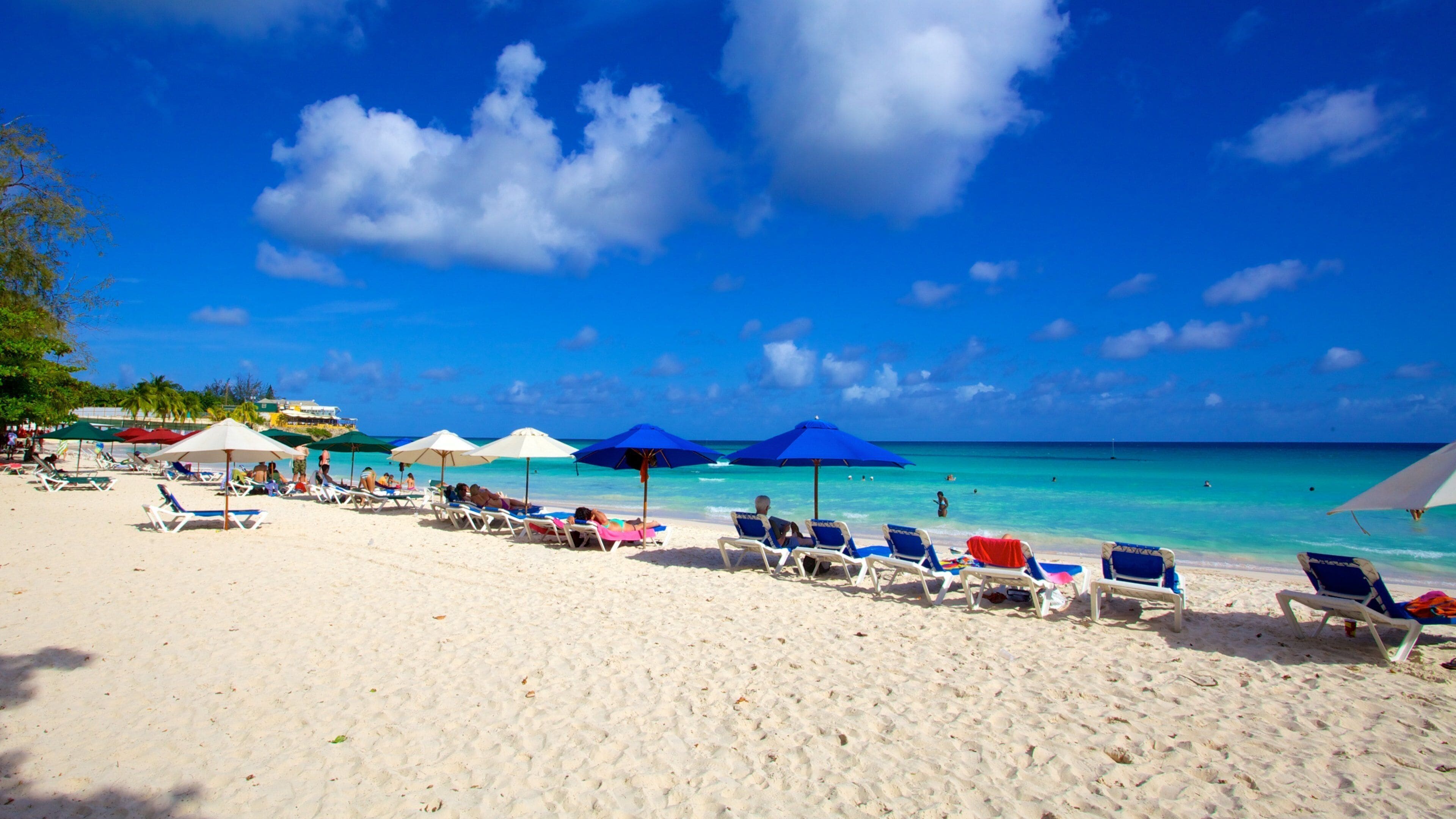 Rockley Beach featuring a beach, general coastal views and tropical scenes