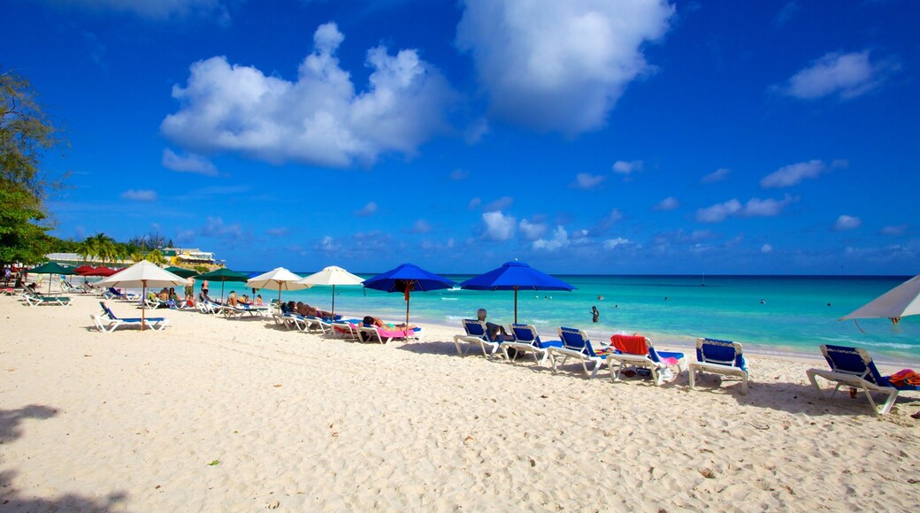 Rockley Beach featuring a beach, general coastal views and tropical scenes