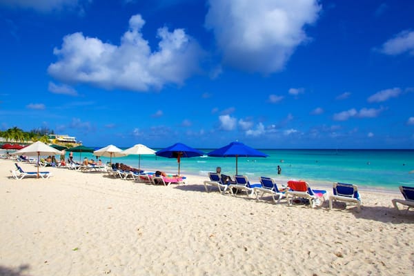 Rockley Beach featuring a beach, general coastal views and tropical scenes
