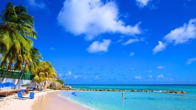 Rockley Beach showing a sandy beach, general coastal views and tropical scenes