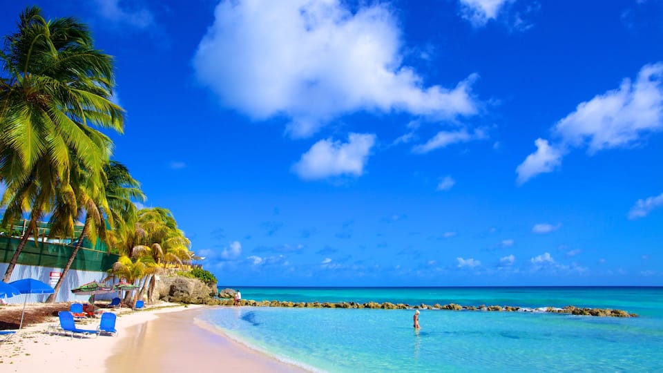 A beach with clear turquoise water, palm trees, and a rocky shoreline.