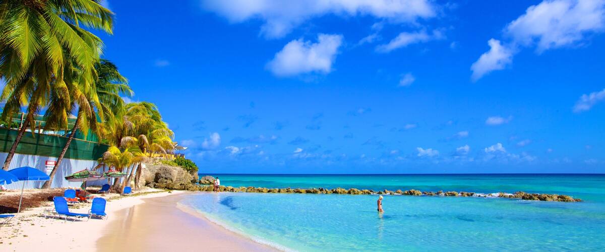 A beach with clear turquoise water, palm trees, and a rocky shoreline.
