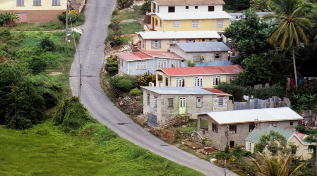 Caribbean International Riding Centre
