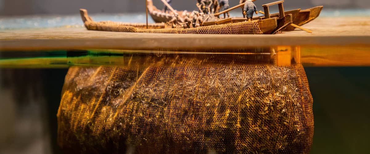 Historical Museum of Hokkaido