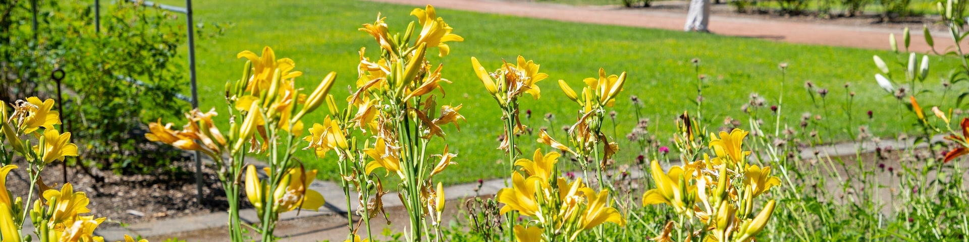 Hokkaido University Botanic Garden