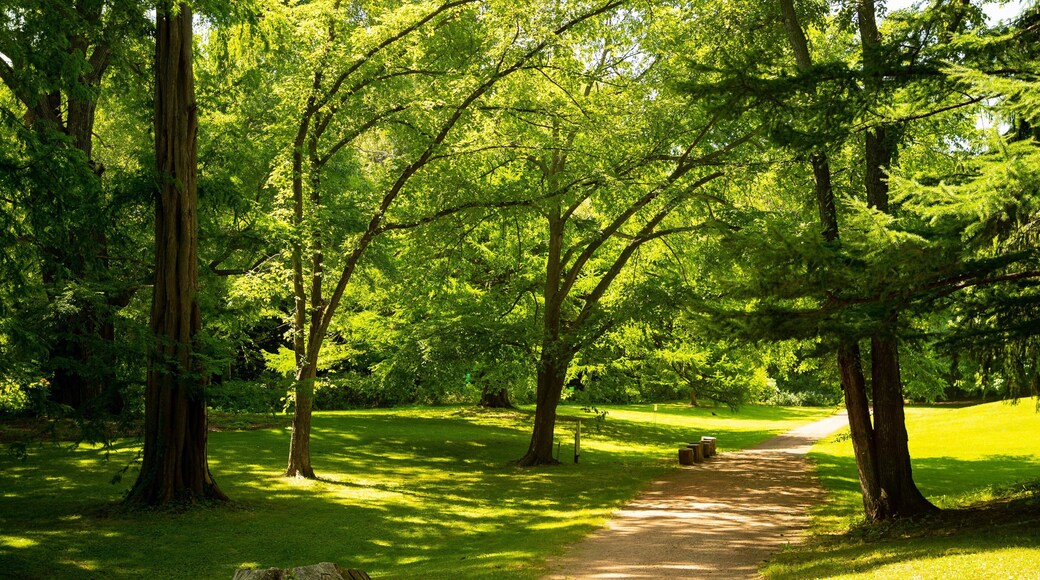 Hokkaido University Botanic Garden