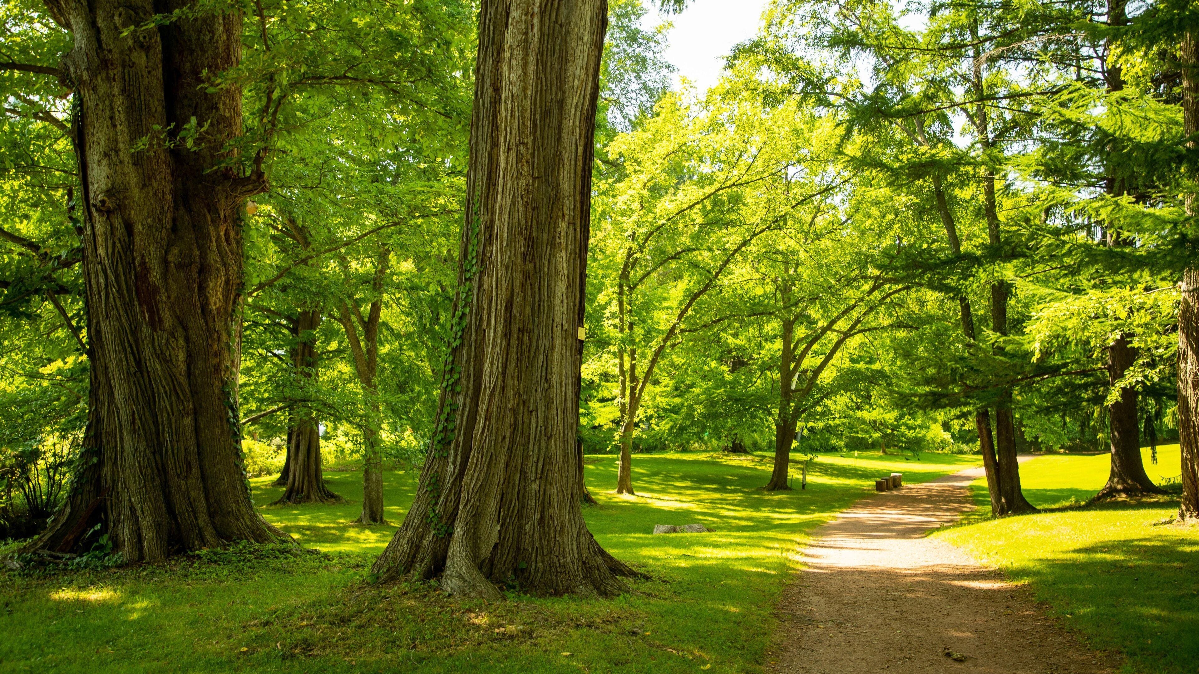 Hokkaido University Botanic Garden featuring a garden