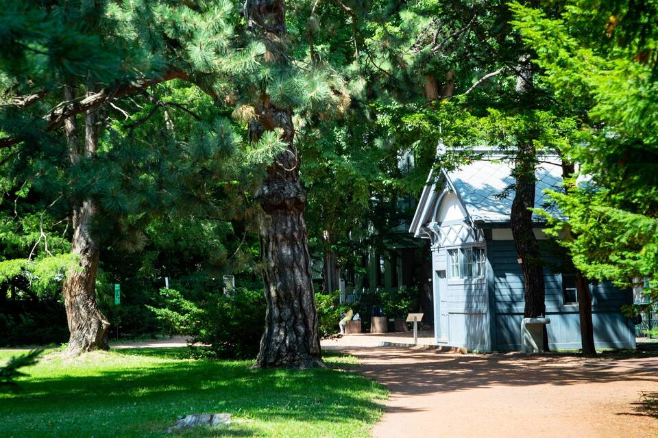 A park with a large tree, a small building, and a pathway.