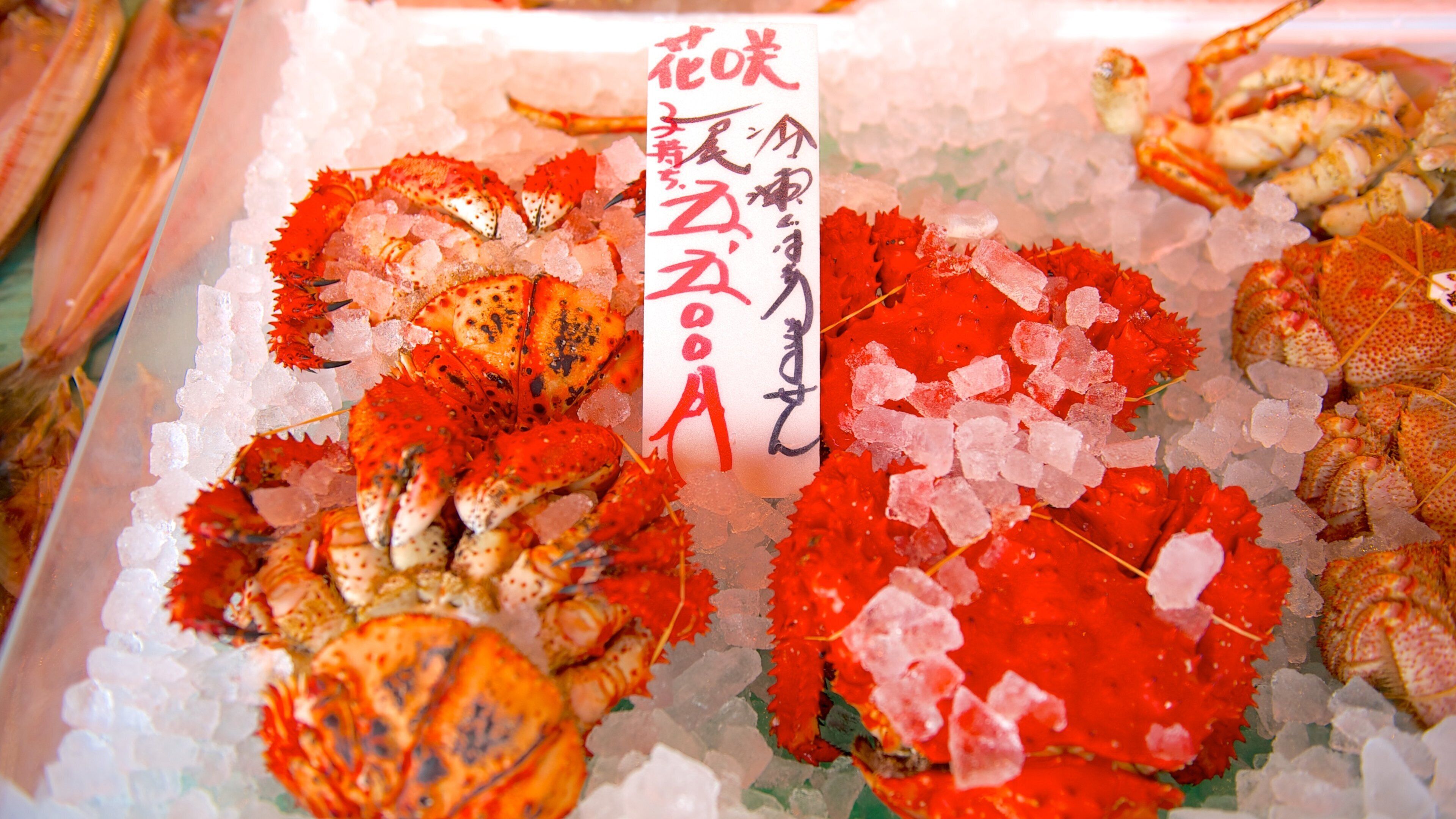 二条市場 表示 食べ物