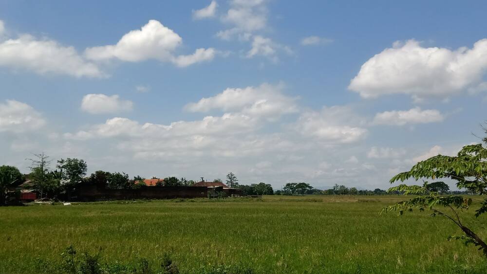 a vast green rice field landscape spreads over a village in Baki, Sukoharjo, Indonesia, and a blue sky with white clouds drifting