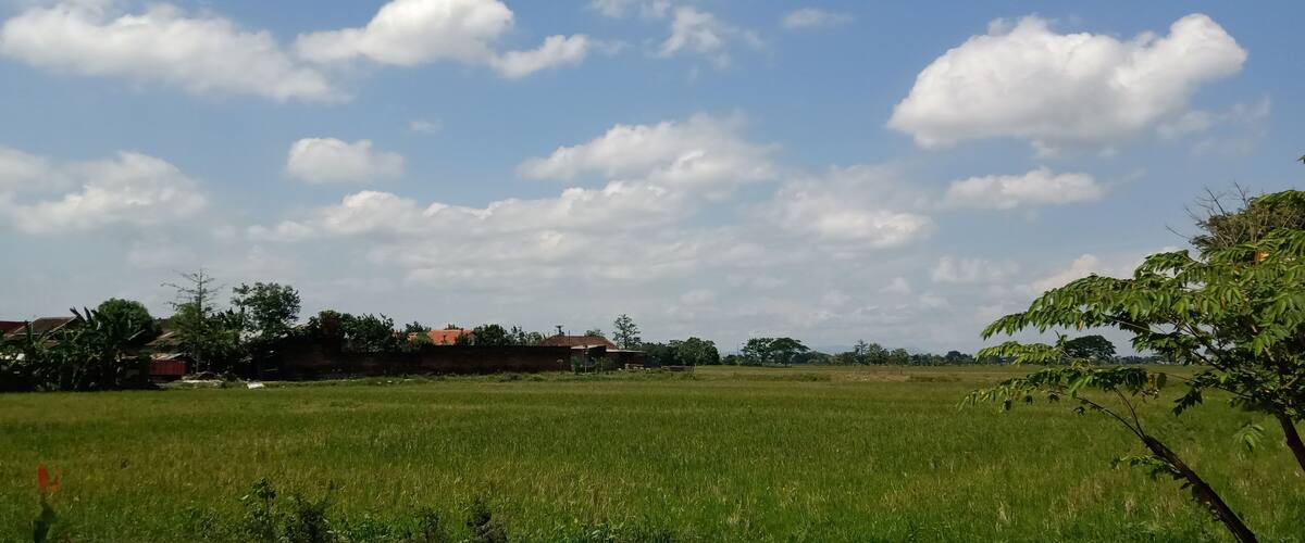 A rural landscape with a green field, scattered trees, and a few buildings in the distance under a partly cloudy sky.