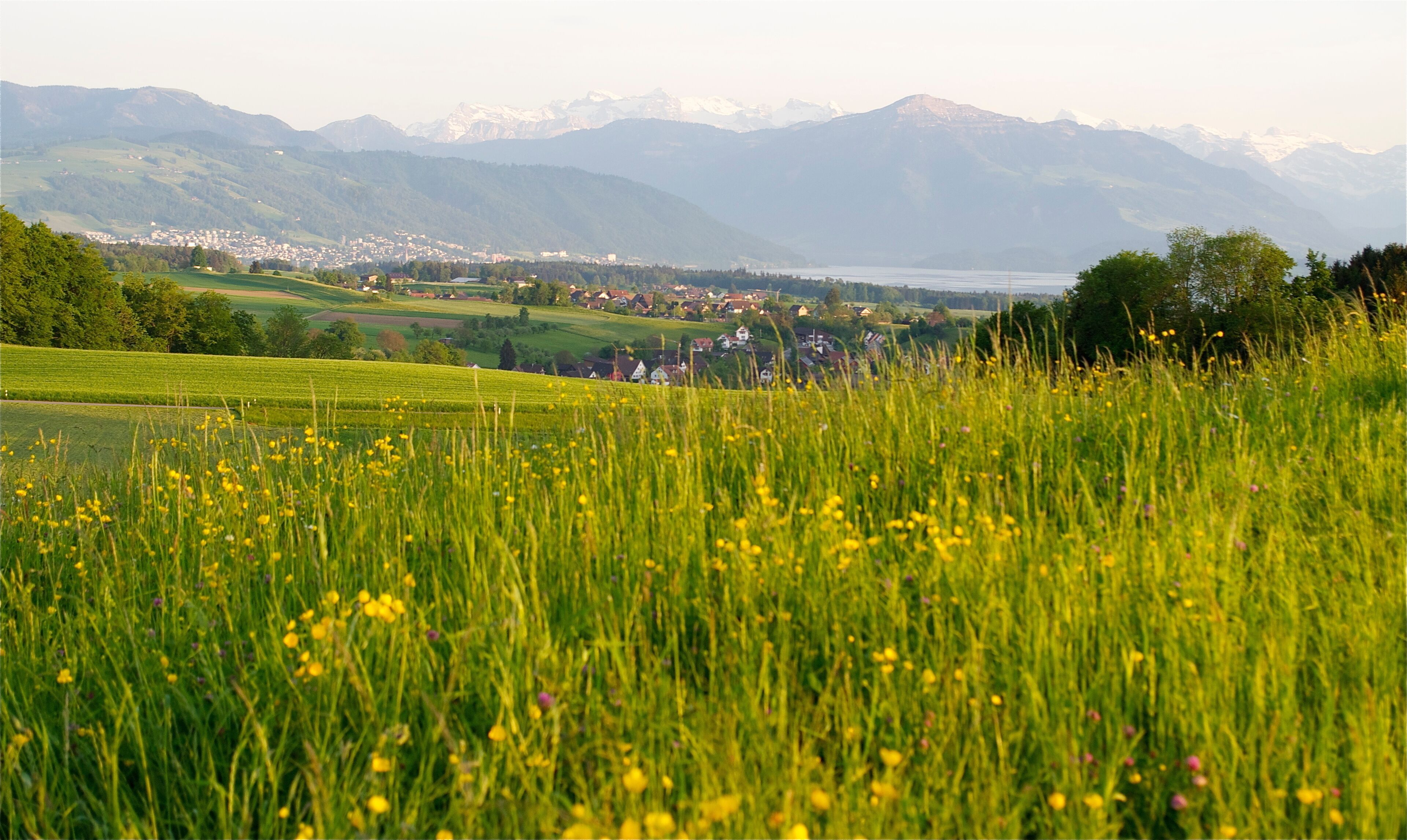 Aussicht auf Stadt Zug, Baar, Zugersee und Rigi