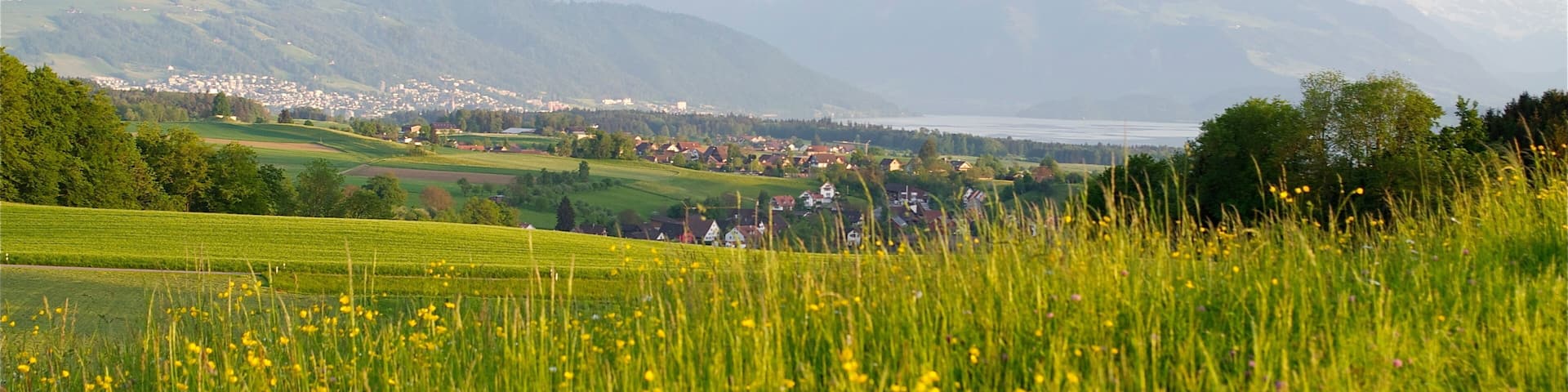 Aussicht auf Stadt Zug, Baar, Zugersee und Rigi