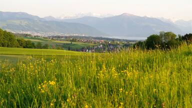 Um vale com uma cidade, campos verdes e montanhas cobertas de neve ao fundo.