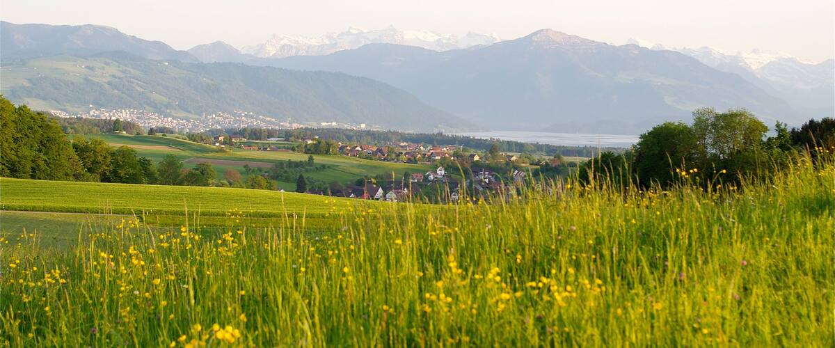 Aussicht auf Stadt Zug, Baar, Zugersee und Rigi