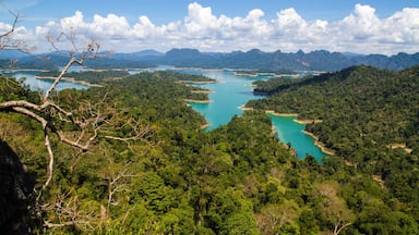 A tropical landscape with dense green forest, turquoise waters, and distant mountains under a clear sky.