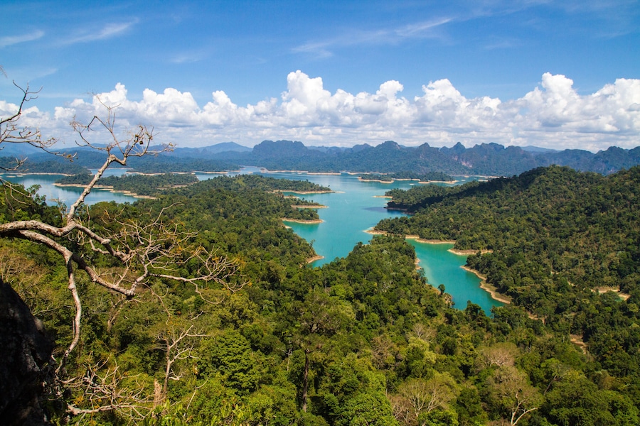 Tropisch landschap met dichtgroene bossen, turquoise water en verre bergen onder een heldere lucht.