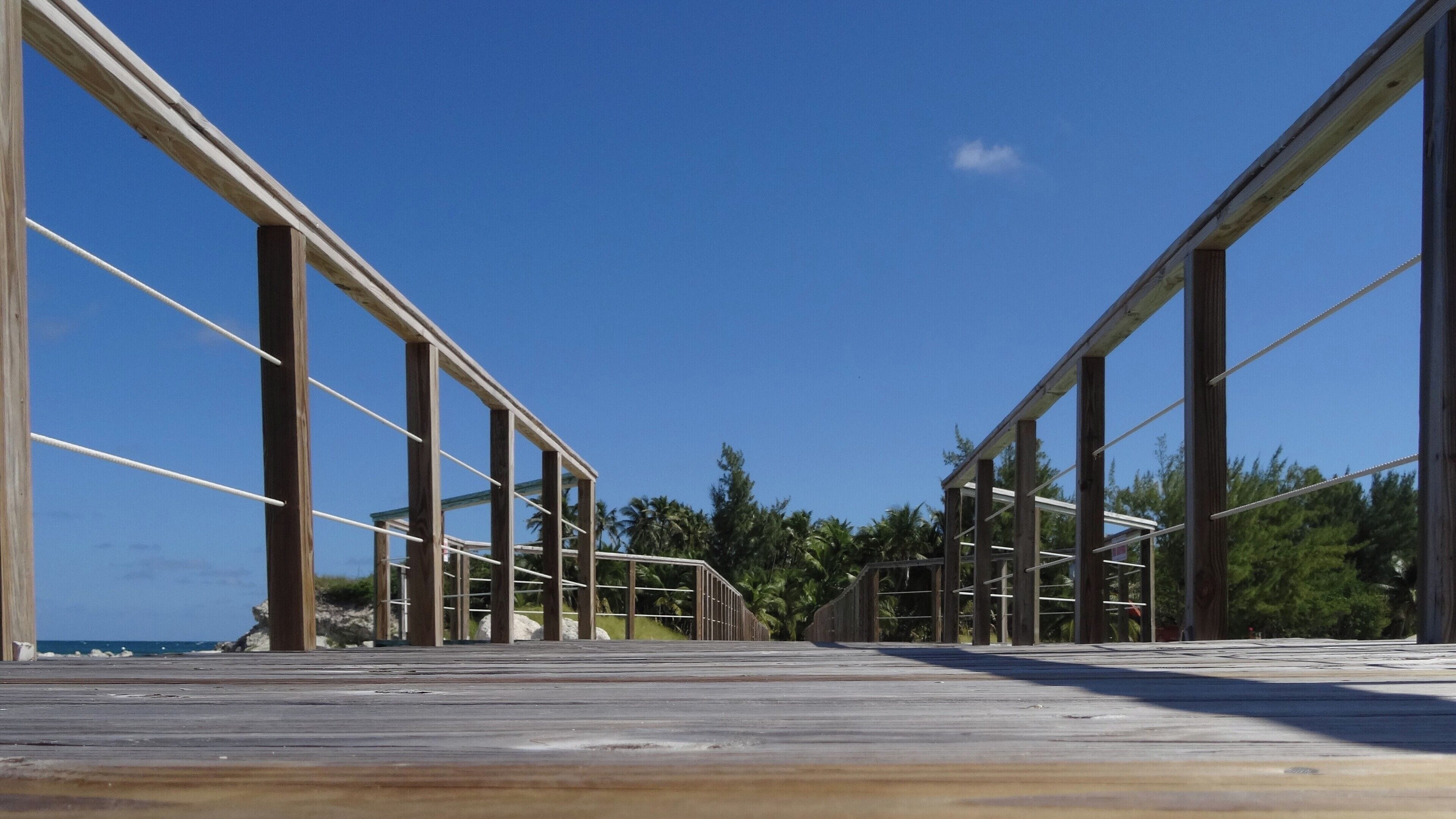 #Bahamas #BlueLagoonIsland

This island has many attractions such as encounter with dolphins and kayaks, but the real attraction is the water full of fish and an indescribable transparency.

Esta ilha possui diversos atrativos como encontro com golfinhos e caiaques, mas o verdadeiro atrativo é a água repleta de peixes e de uma transparência indescritível.