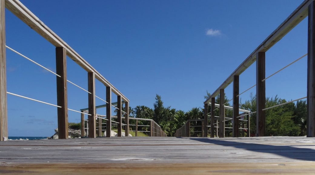 #Bahamas #BlueLagoonIsland
This island has many attractions such as encounter with dolphins and kayaks, but the real attraction is the water full of fish and an indescribable transparency.
Esta ilha possui diversos atrativos como encontro com golfinhos e caiaques, mas o verdadeiro atrativo é a água repleta de peixes e de uma transparência indescritível.