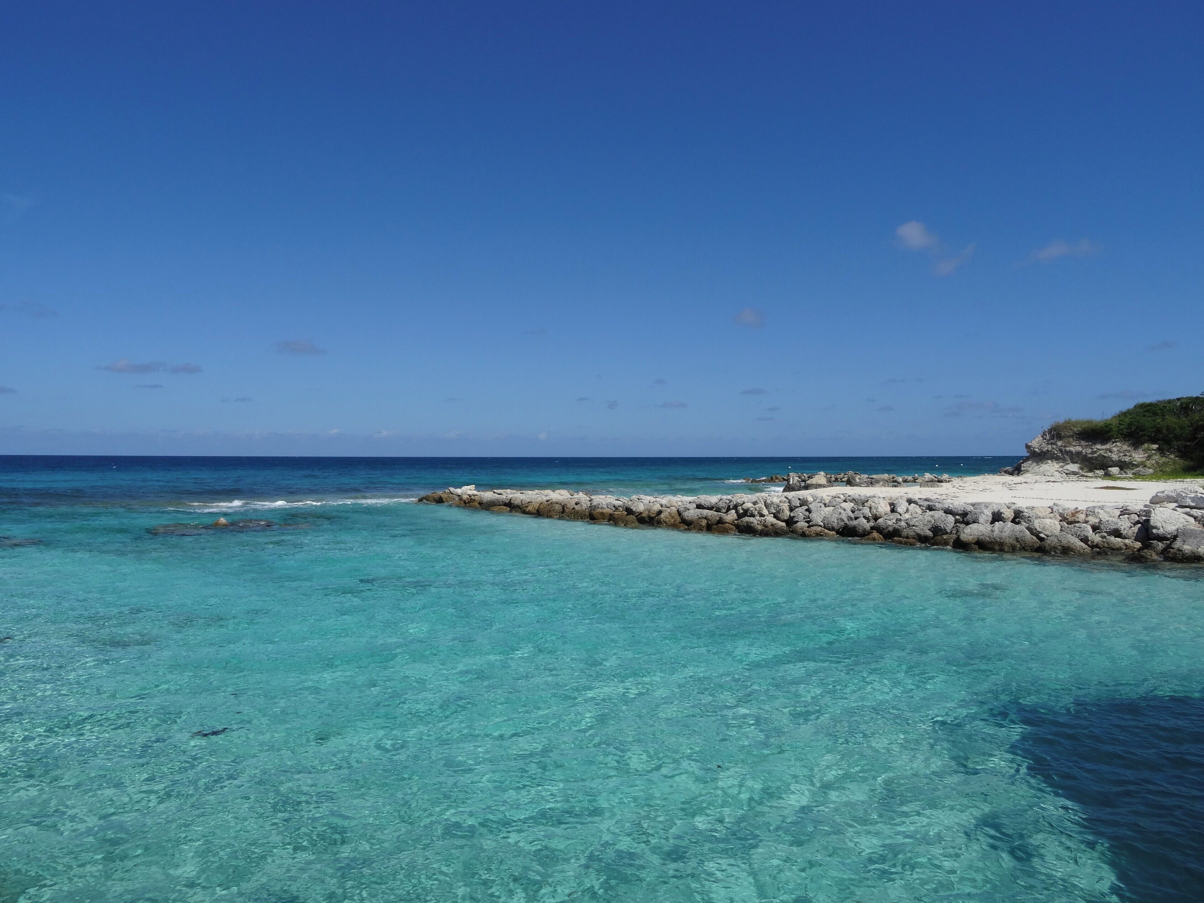 #Bahamas #BlueLagoonIsland

This island has many attractions such as encounter with dolphins and kayaks, but the real attraction is the water full of fish and an indescribable transparency.

Esta ilha possui diversos atrativos como encontro com golfinhos e caiaques, mas o verdadeiro atrativo é a água repleta de peixes e de uma transparência indescritível.