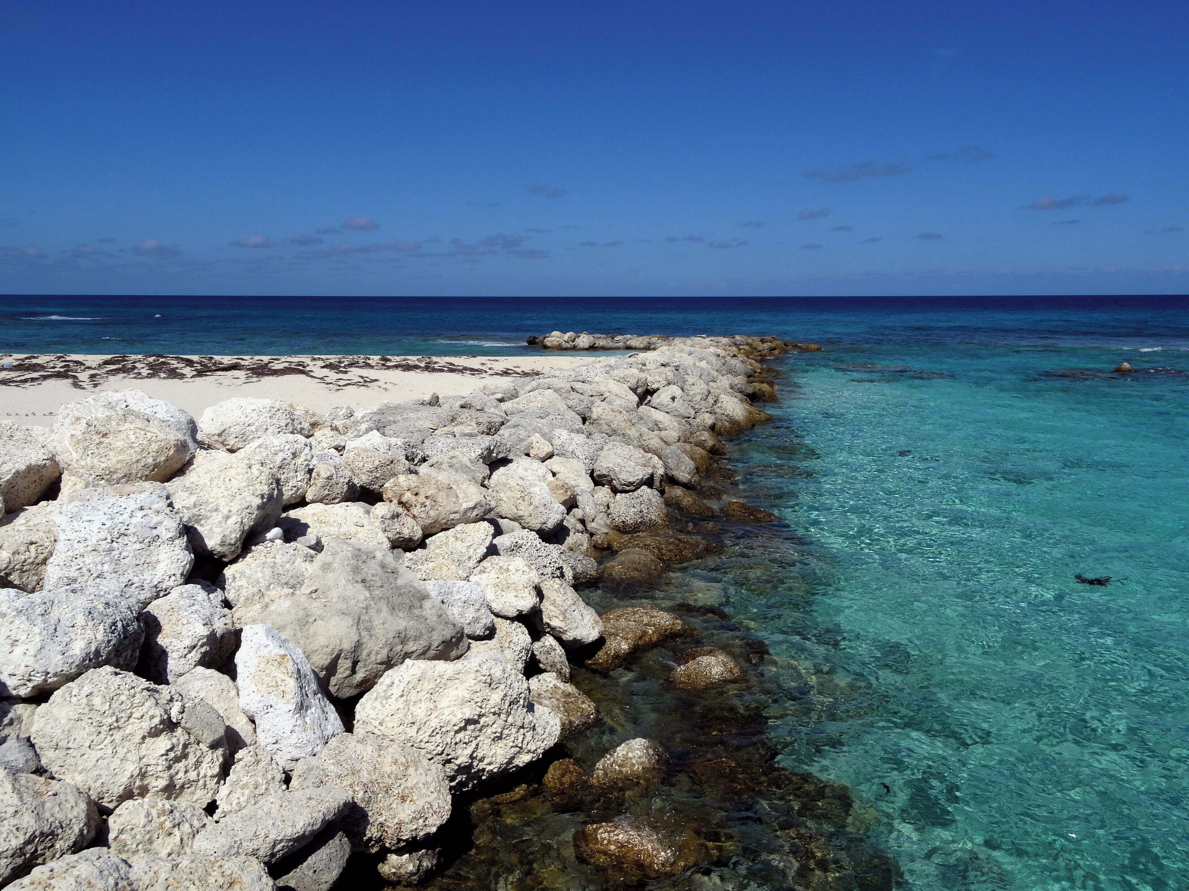 #Bahamas #BlueLagoonIsland

This island has many attractions such as encounter with dolphins and kayaks, but the real attraction is the water full of fish and an indescribable transparency.

Esta ilha possui diversos atrativos como encontro com golfinhos e caiaques, mas o verdadeiro atrativo é a água repleta de peixes e de uma transparência indescritível.