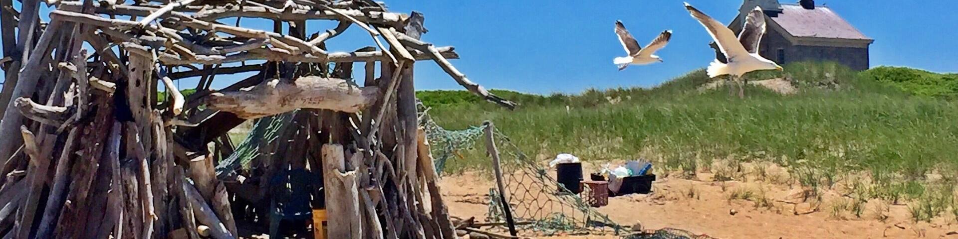 A sandy beach with a wooden structure, a lighthouse, and seagulls flying.